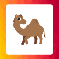 camel