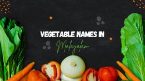 Vegetable names in malayalam.