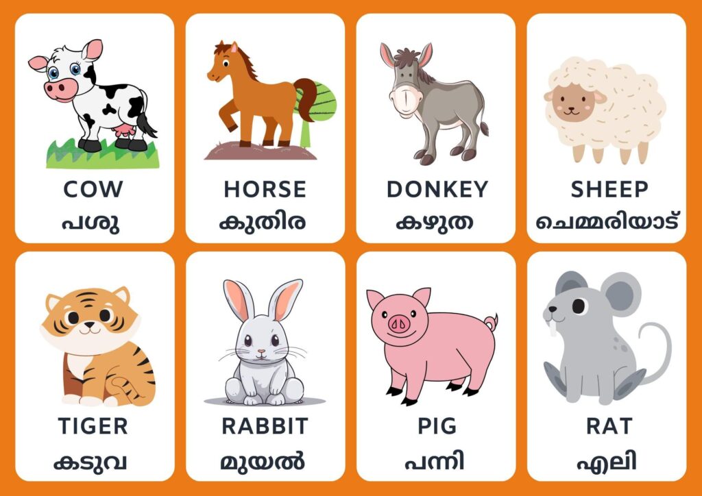 animal names in malayalam