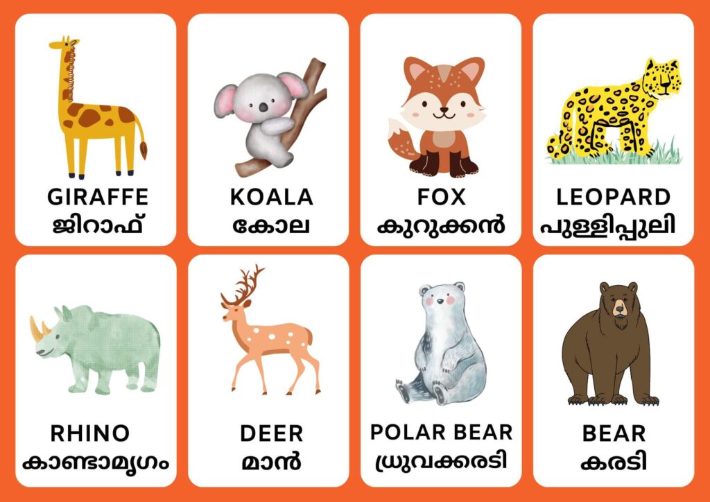 name of animals in malayalam