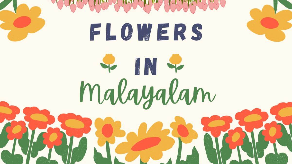 Flowers in Malayalam: Learn Flower Names in Malayalam