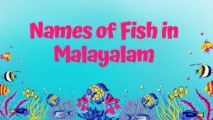 Learn Fish Names in Malayalam: An Essential Guide for Seafood Enthusiasts