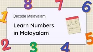 learn malyalam numbers