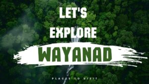 Discover the hidden gems of Wayanad