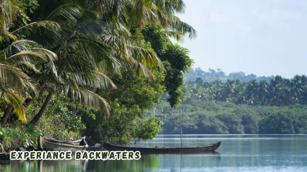 the House Boat Alappuzha and backwaters