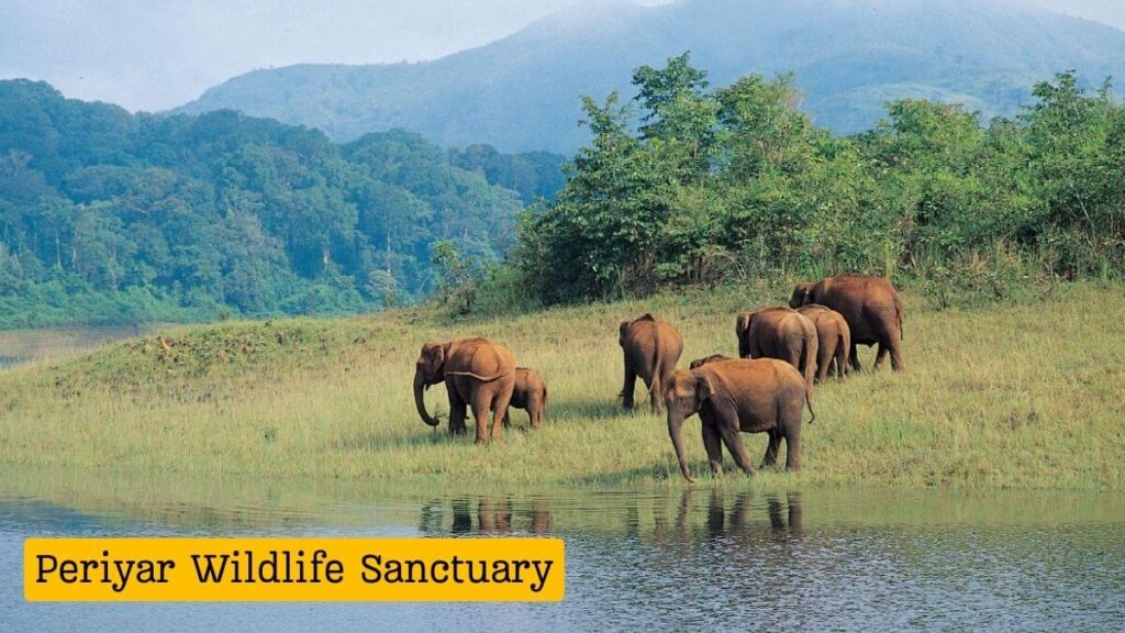 Image of Periyar Wildlife Sanctuary