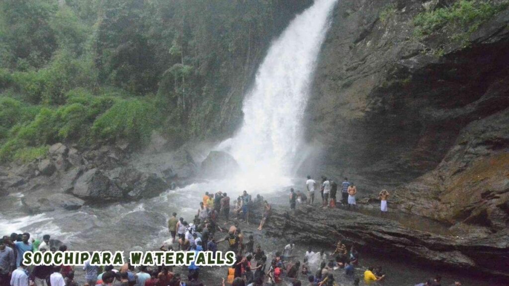  Waterfalls in Kerala You Must Visit