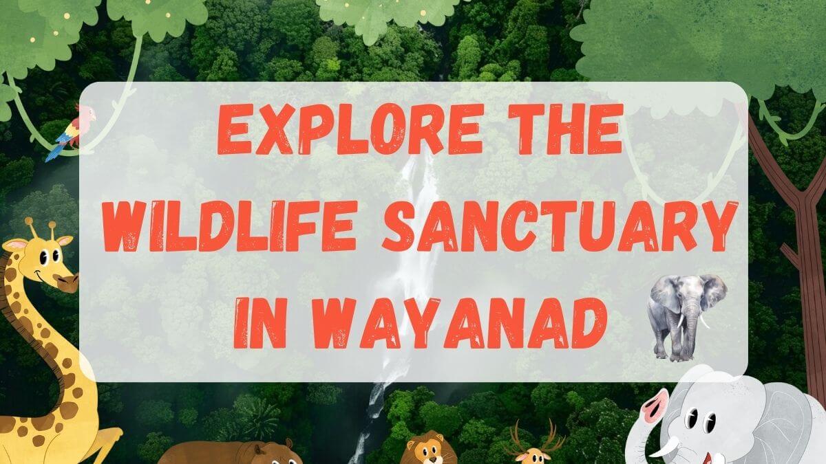 diverse wildlife of Wayanad Wildlife Sanctuary.