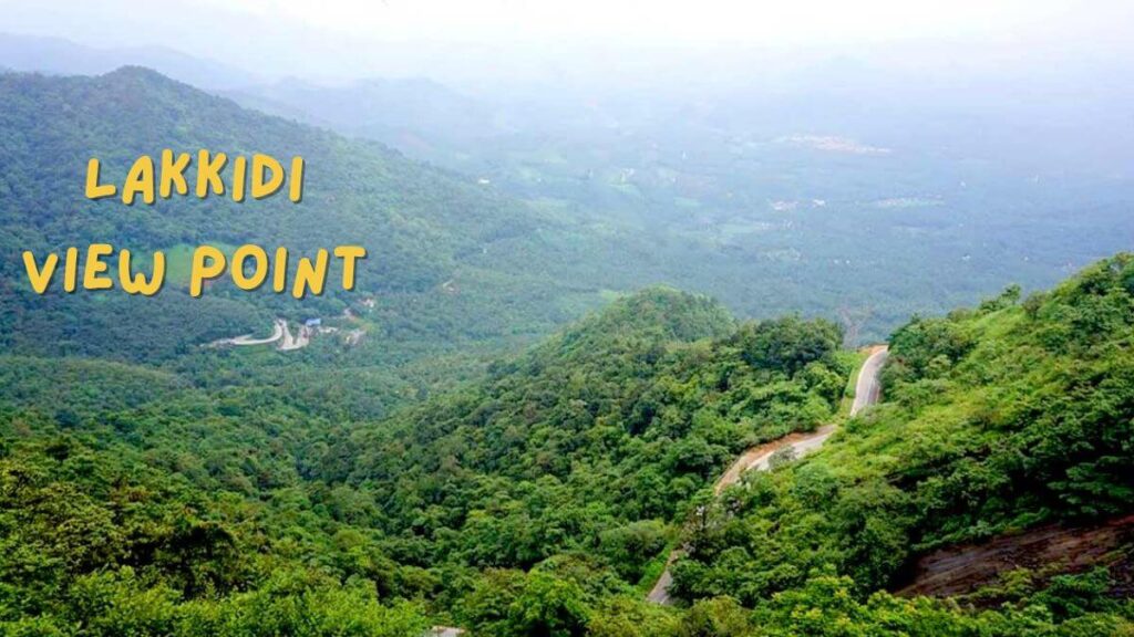 Panoramic view of lush green hills and deep gorges from Lakkidi View Point in Wayanad.