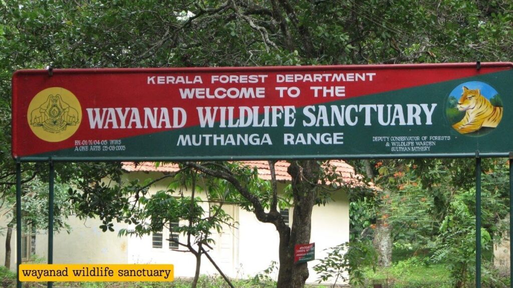 Wayanad Wildlife Sanctuary