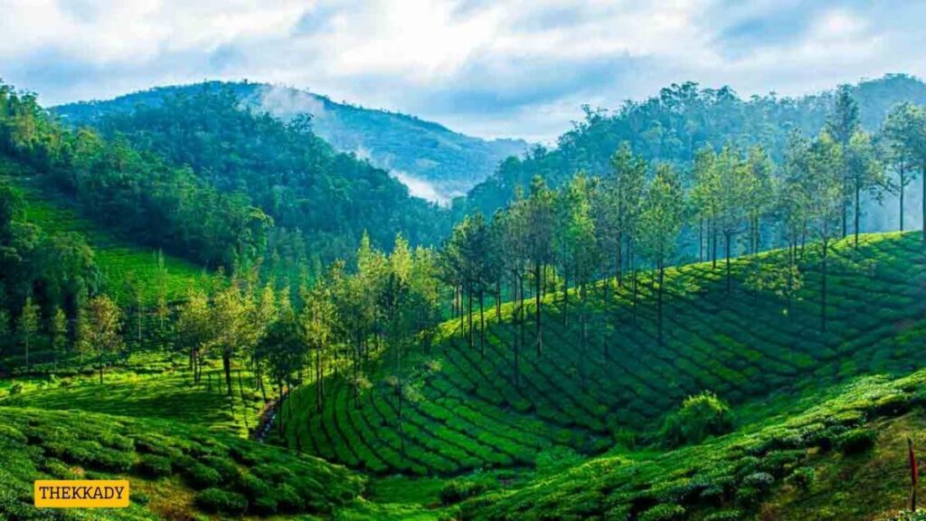 Top Hill Stations in Kerala