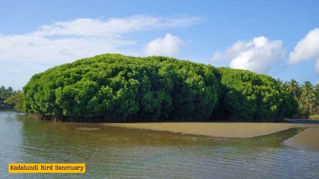  the Kadalundi Bird Sanctuary in Kerala