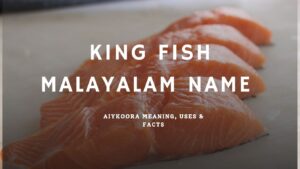 King Fish Malayalam Name Aiykoora Meaning, Uses & Facts