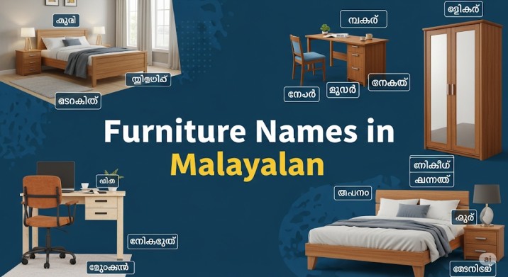 furnitures in malayalam