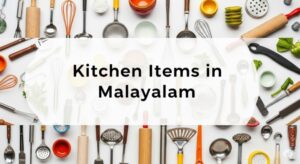 kitchen items in malayalam