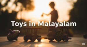 toys in malayalam