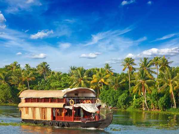 Kerala backwaters with lush green palm trees